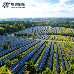 Soporte <span class=keywords><strong>de</strong></span> Montaje Solar Fotovoltaico para Bosques <span class=keywords><strong>de</strong></span> Alta Resistencia, Sistema <span class=keywords><strong>de</strong></span> Rieles Agrícolas para Proyectos Globales <span class=keywords><strong>de</strong></span> Granjas Solares - Product Image 5