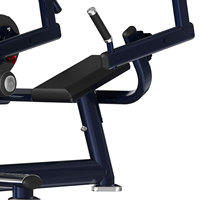 Machine d'extension dorsale professionnelle pour usage domestique et sportif – Équipement de fitness en gros
