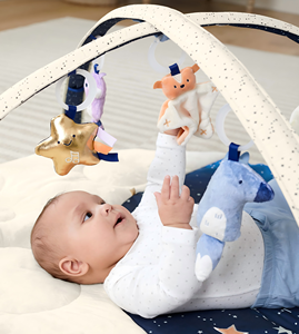 Baby Play Gym Mat with <b>6</b> Sensory <b>Toys</b> Stage-Based Developmental Activity Gym & Play Mat <b>for</b> Baby to Toddler - Product Image 5