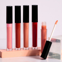 Fabricant de gloss à lèvres ODM, gloss à lèvres repulpant, effet lèvres plus volumineuses, formule non collante, fournisseur de maquillage en gros