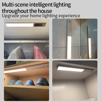 Éclairage d'armoire rechargeable 3000mAh à 3 couleurs LED à gradation avec capteur de mouvement pour la cuisine Batterie détachable à usage domestique