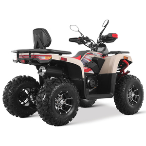 Quadricycle Tao Motor 2025 tout-terrain électrique à injection de carburant automatique 250cc - Product Image 6