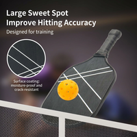 Pala de Pickleball Compuesta Estándar USAPA - Global Sports, Respuesta Rápida, Resistente a la Abrasión, 226g, 40 Orificios, Amortiguación de Vibraciones