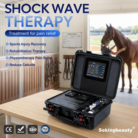 Appareil de thérapie par ondes de choc certifié CE, machine de massage musculaire profond par ondes électromagnétiques pour clinique vétérinaire équine