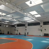 Estructura de acero de diseño moderno de gran envergadura de alta resistencia para gimnasio y sala para talleres y necesidades de gran espacio