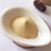 Voedingsmiddelkwaliteit Durian-sappoeder Natuurlijk hoogwaardig Durian-fruitpoeder Durian-extract