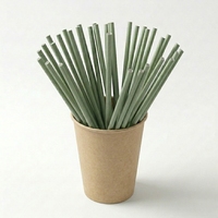 Pailles jetables personnalisables PHA Home Composable, écologiques pour les boissons de fête