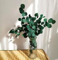Lovebay Home Decor Plante préservée Feuilles d'eucalyptus séchées Feuillage Feuilles d'eucalyptus conservées naturelles pour arrangement de mariage