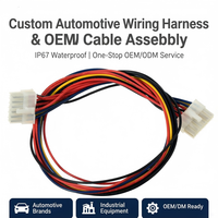 Rakitan Kabel Terminal Blok Pluggable 2 Pin 3 Pin 4 Pin Kustom dari Nylon OEM untuk Industri, Otomotif, dan Peralatan Rumah Tangga