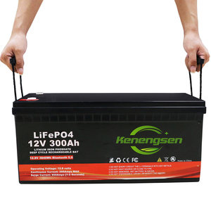 Bán buôn tùy chỉnh LiFePO4 pin 12V 24V 48V 100AH 200AH 300ah 400ah pin năng lượng mặt trời Hệ thống lưu trữ - Product Image 1