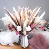 Buket Rumput Pampas Kering Warna-Warni untuk Pernikahan, Acara Romantis, Toko Hadiah Butik - Bunga Kering Gaya Bohemia Ramah Lingkungan