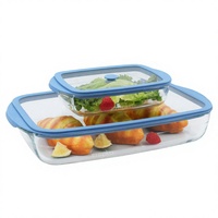 Boîte à lunch moderne en verre borosilicate écologique, récipients de conservation alimentaire sans plastique avec couvercle en silicone robuste et hermétique