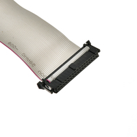 Cable de Alimentación para Módulo Eurorack de 40 Pines OEM ODM, Cable Plano IDC de 2.54 mm de Paso, Longitud de 300 mm, Conductor de Cobre de 16 Núcleos, PVC