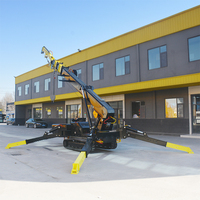Grue araignée de 8 tonnes à vendre, grue sur chenilles télécommandée par radio pour l'installation de toitures