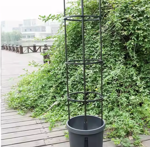 Support en maille écologique pour plantes grimpantes, <span class=keywords><strong>cage</strong></span> de soutien pour tomates - Product Image 4