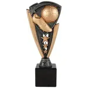 Trophée de Football de Participation Doré et Argenté avec Plaque Personnalisée - Product Image 1