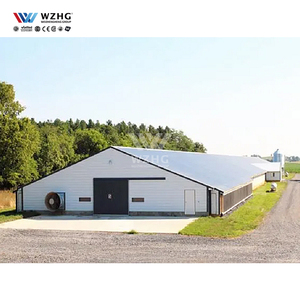 Gà thịt gà lồng gia cầm đổ xây dựng cho kết cấu thép Gà nhà - Product Image 1