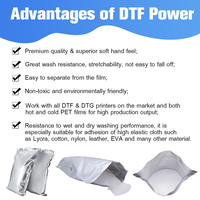 Poudre adhésive thermofusible TPU DTF de haute qualité de la marque Xiangyan pour l'impression DTF, origine Guangdong