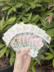 Invitaciones Plantables con Formas Personalizadas, Papel Cultivable Hecho a Mano, Ideas de Regalo para Días Festivos/Bodas, Tarjetas de Papel con Semillas - Product Image 5
