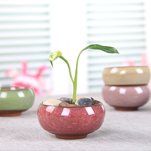 Minimacetas para plantas suculentas AAA273, cerámicas esmaltadas con grietas de hielo, maceta para jardín, hogar, decoración <span class=keywords><strong>Zakka</strong></span> artesanal, maceta de flores - Product Image 4