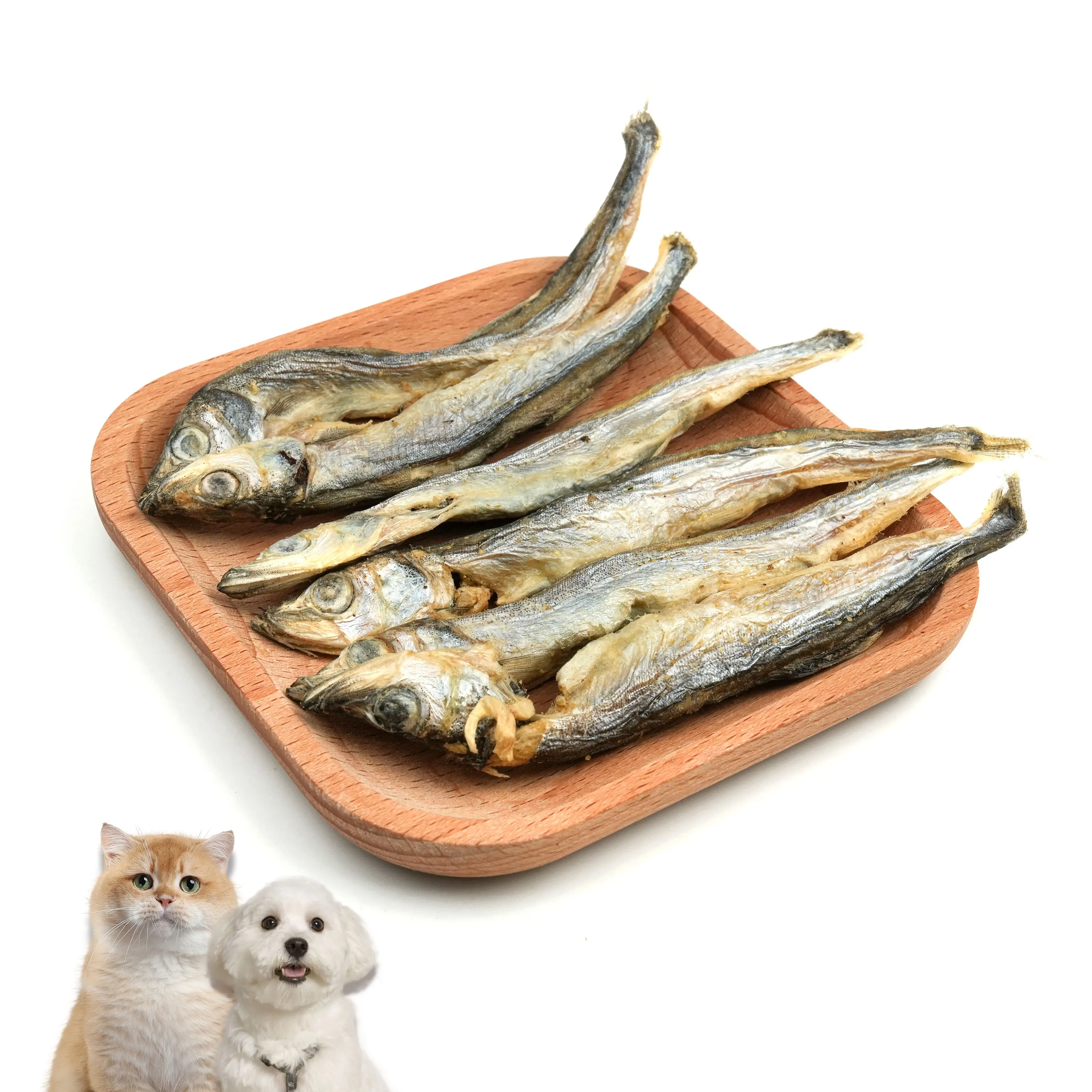En iyi fiyat kedi kuru gıda donma kediler için kuru evcil hayvan maması çoklu lezzet dondurularak kurutulmuş bahar balık