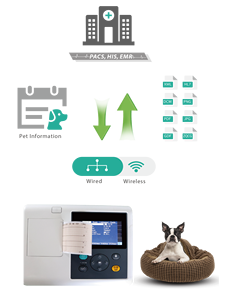 Draagbare Medische 3-kanaals Ekg Monitor Veterinaire Driekanaals <span class=keywords><strong>Ecg</strong></span>-Machineapparatuur - Product Image 5