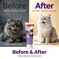 Expédition Rapide – Gel de Psyllium et Probiotiques Oméga-3 pour Chiens et Chats – Traitement Anti-Boules de Poils et Soutien de la Santé Intestinale pour Toutes Races