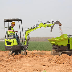 เครื่องขุดรถขุดตีนตะขาบขนาดเล็กกำลังขุดสูงชิ้นส่วนแบริ่งมอเตอร์8-18kW รับประกัน1ปี - Product Image 6