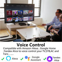 Télécommande universelle IR SMARSECUR TY-S07 avec application WiFi et commande vocale, noire, pour maison intelligente, téléviseur et climatiseur