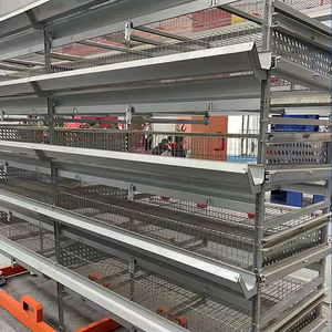 Jaulas Automáticas Tipo H para Pollos, Nuevas en Oferta, Equipo <span class=keywords><strong>de</strong></span> Avicultura Duradero, Acero Galvanizado en Caliente, 128 Aves - Product Image 1