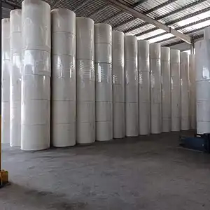 Rouleaux de tissu géotextile en fibres longues non tissées de 1m à 6m de large