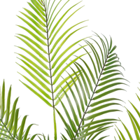 Vente en gros 180cm Palmier artificiel Areca Faux plante verte en pot Faux Palmier pour décoration d'intérieur