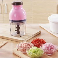 Haute qualité 450ML vitesses variables maison cuisine ail mélangeur Portable légumes hachoir électrique Mini hachoir à viande