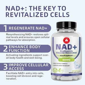 כמוסות תוסף תזונה מולטי-ויטמין ומינרלים NAD+ לחיזוק מערכת החיסון למבוגרים, סיטונאי מהמפעל, ייצור לפי הזמנה - Product Image 4