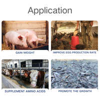 L-Thréonine de qualité alimentaire 98,5 % min CAS 72-19-5 Acide aminé Additif alimentaire pour porcs, volailles, aquaculture, nutrition animale