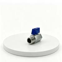 Vanne à boisseau sphérique miniature OEM en acier inoxydable 304 316 filetée NPT BSP DN20 3/4 pouce M-F, vanne d'arrêt haute pression 1000WOG