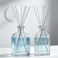 Bouteille en verre transparente vide de 100 ml pour diffuseur à bâtonnets, rechargeable, récipient d'aromathérapie transparent pour huile parfumée d'intérieur, logo personnalisé, OEM