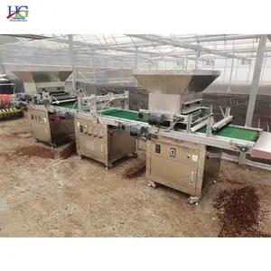 Máquina de mudas totalmente automática, plantador de disco de alta eficiência para tomate/lettuça, máquina de mudas totalmente automática