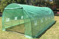 Serre tunnel moderne en PE et métal galvanisé 6x3x2m pour la culture hydroponique à domicile et au jardin, structure stable et écologique