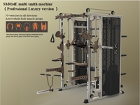 Machine Smith multifonctionnelle commerciale, rack à squats, rack de musculation avec pile de poids 3*80KG, marque XINRUI, modèle SM014E