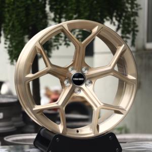 Rines TITAN FORCE 19x9 20x10 21x9.5 21x10.5 5x112 Forjados a Medida en Oro Transparente Pulido para Audi Q8 RSQ8 e-tron GT A8 S8 - Product Image 2