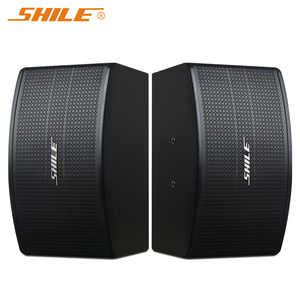 Altavoz activo para exteriores con sistema de sonido Dj de gran potencia de 10 pulgadas y 100W profesional de la venta al aire libre - Product Image 4