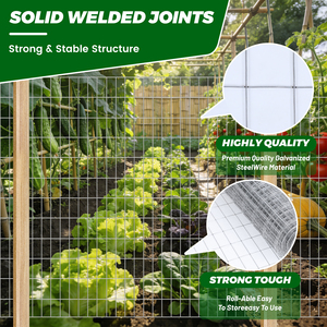 12GA 2"x4"<b>Mesh</b> Galvanized Welded <b>Mesh</b> Roll for Fencing Protection <b>Wire</b> 48inchx50ft Roll - Product Image 6