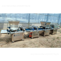 Machine de plantation de semis, machine de semis de prise Semoir d'aspiration d'aiguille multifonctionnel avec des semis de plateau