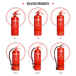 Vente en gros d'allume-feu en <span class=keywords><strong>poudre</strong></span> sèche pour voiture, <span class=keywords><strong>1</strong></span> <span class=keywords><strong>KG</strong></span> - Product Image 6