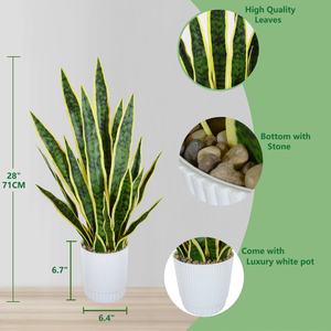 <span class=keywords><strong>Planta</strong></span> <span class=keywords><strong>Artificial</strong></span> Sansevieria <span class=keywords><strong>de</strong></span> Plástico <span class=keywords><strong>de</strong></span> Primera Calidad, Tipo Madre <span class=keywords><strong>de</strong></span> la Novia, para Decoración <span class=keywords><strong>de</strong></span> Mesa en el Hogar - Product Image 2