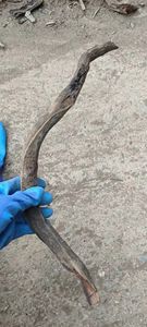 수족관 자연 드리프트 나무 조각 뿌리 가지 수족관 <span class=keywords><strong>Driftwood</strong></span> 장식 - Product Image 3