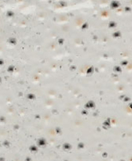 Sésamo Blanco