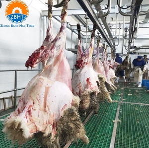 Ligne d'abattage personnalisable de haute qualité pour abattoir moderne musulman, équipement professionnel de transformation de la <span class=keywords><strong>viande</strong></span> de mouton - Product Image 4