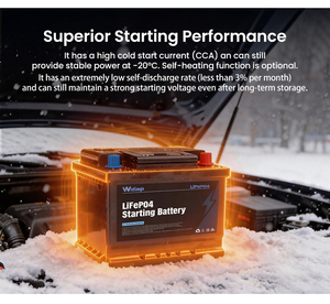 12V 600CCA 45Ah LiFePO4-batterij met BMS, bescherming tegen overbelasting, snel opladen bij koud weer, startbatterij voor personenauto's - Product Image 5